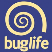 Buglife avatar image